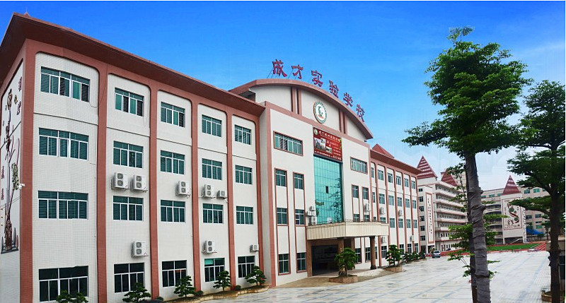 虎門成才實驗學校加固工程
